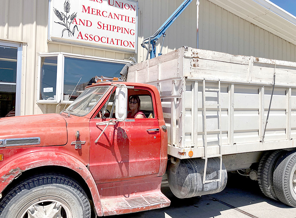 BECKY WILLIAMS brought in the first load of wheat to the Stockton Farmers Union Elevator on Saturday, June 24th for Marvin Jackson. (Courtesy photo)