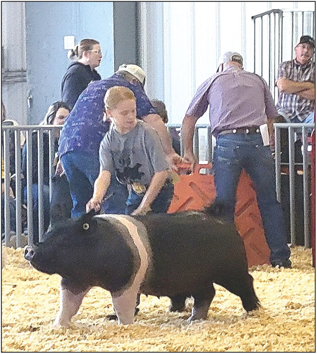 DAYLEN stepped in and showed her brother, Coy Beesley’s Crossbred Gilt, “Mae,” during the KJLS show, placing 4th in her Breeding Gilt Class. Cole had suffered a concussion in a football game earlier in the week.