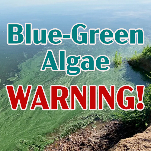 blue-green algae warning