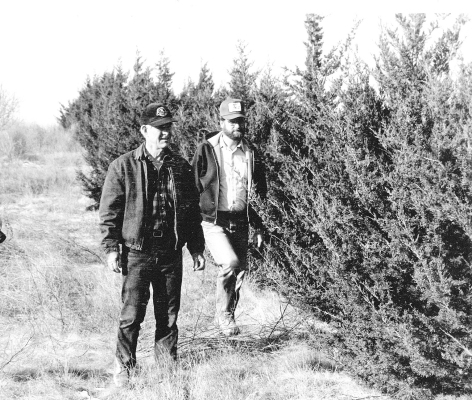 PICTURED IS TREE FARMER LEO BIRD (center) in February of 1991 explaining the benefits of a thirteen-year-old windbreak on his Rooks County farm northwest of Stockton to KSU foresters Bill Louchs of Manhattan and Jim Strine of Hays. Bird was an authority on trees in west-central Kansas, planted numerous varieties, and even started his trees through stratification, which is the collecting and burying of nuts to grow in his nursery, where they would develop into seedlings for transplanting on his farm.