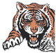 Junior High Tigers sweep Natoma again