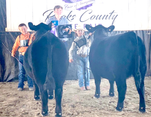 COLE FLOWER (left) won this year's Rooks County Free Fair Grand Champion Breeding Beef with Eli Atkisson (right) Reserve Champion. The judge was Logan Burham (middle).