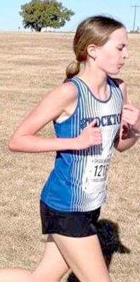 Hoeting nearly qualifies for state cross country