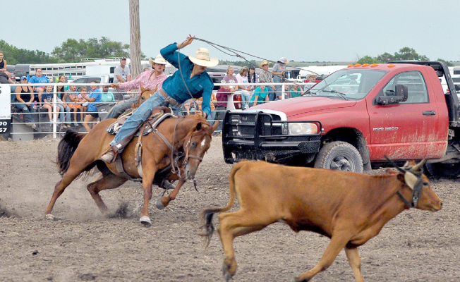 Roping a calf during the Tuesday’s Ranch Rodeo