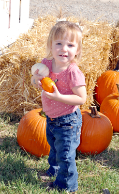 I’LL TAKE TWO! Olivia Knipp can’t decide which pumpkin from the Pumpkin Patch she prefers, so elects to take them both. She is the daughter of Mike and Bridget Knipp of Palco.
