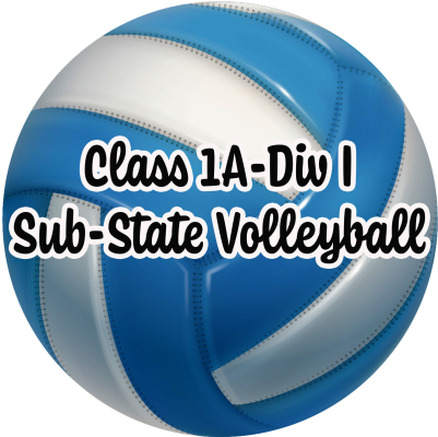 sub-state volleyball 