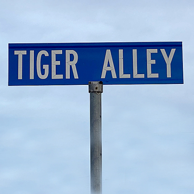 tiger alley