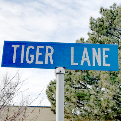 tiger lane