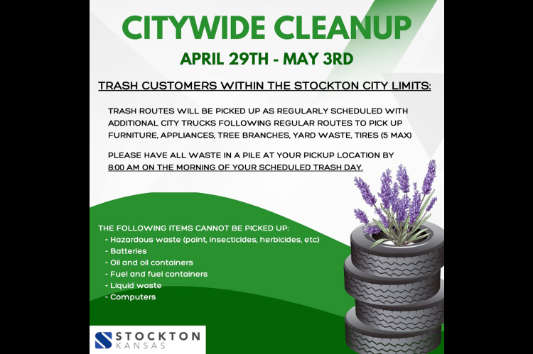citywide cleanup