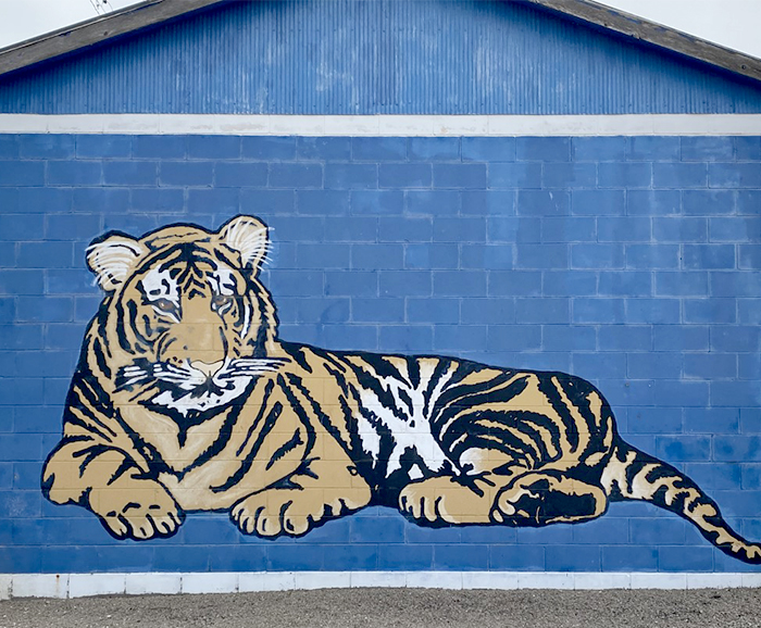 tiger on building